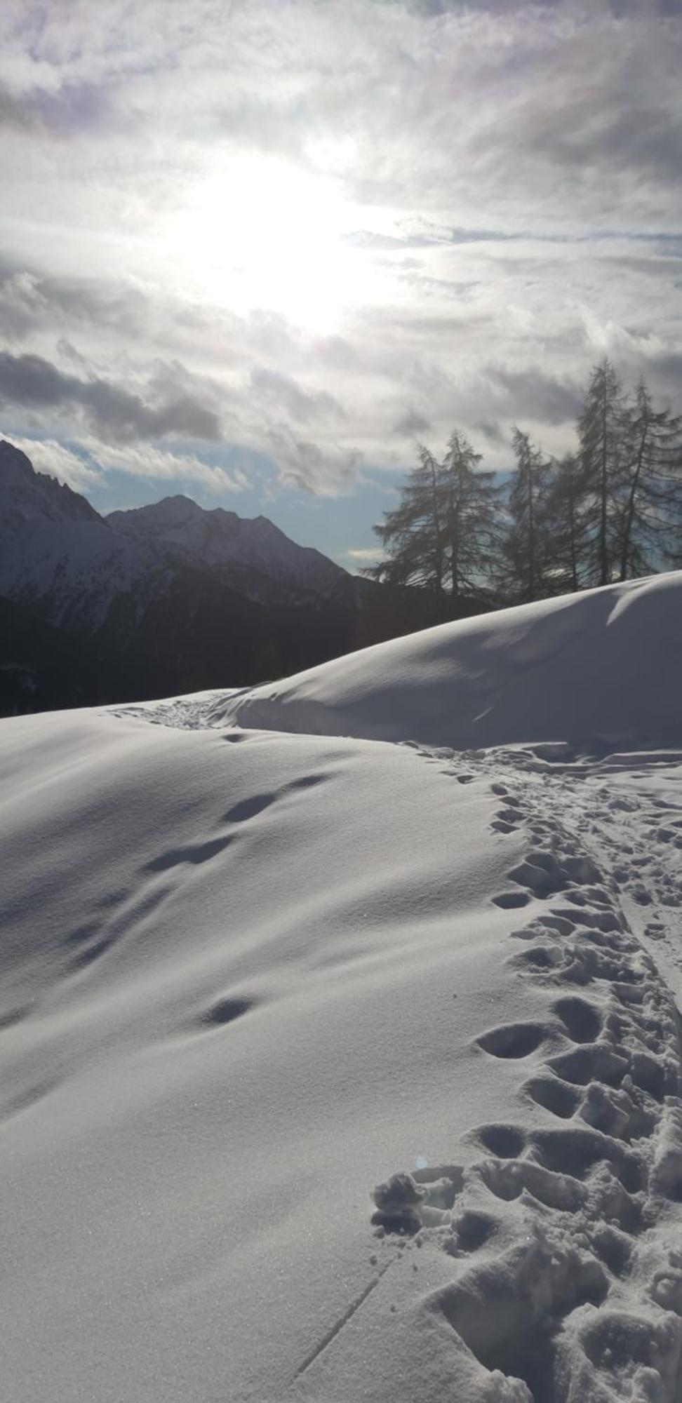 Agriturismo Belotti Temù Eksteriør bilde